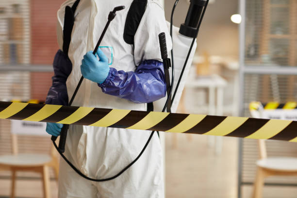 Professional Sewage Cleanup technician working in Glendora, NJ
